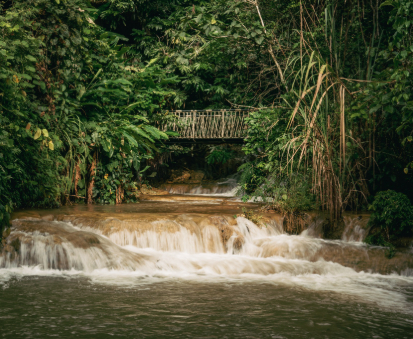 Pure Sounds Unique to Avana Retreat
