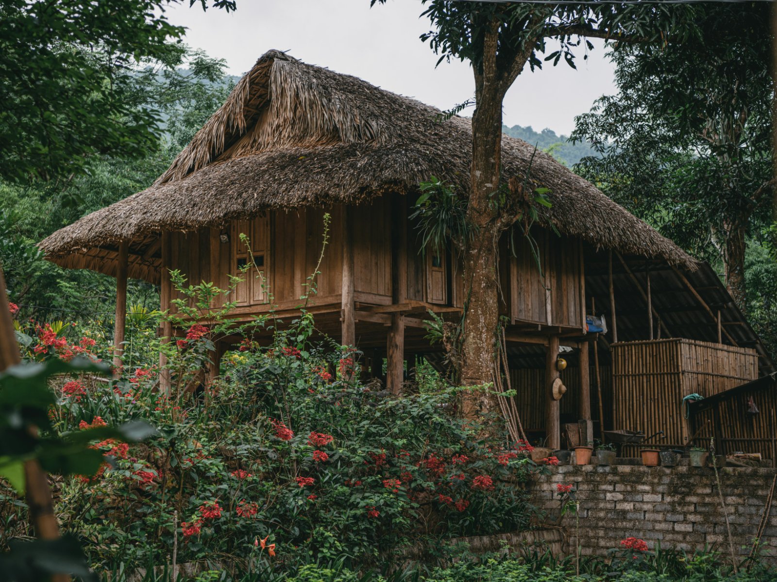 7 Tales From Ethnic Thai