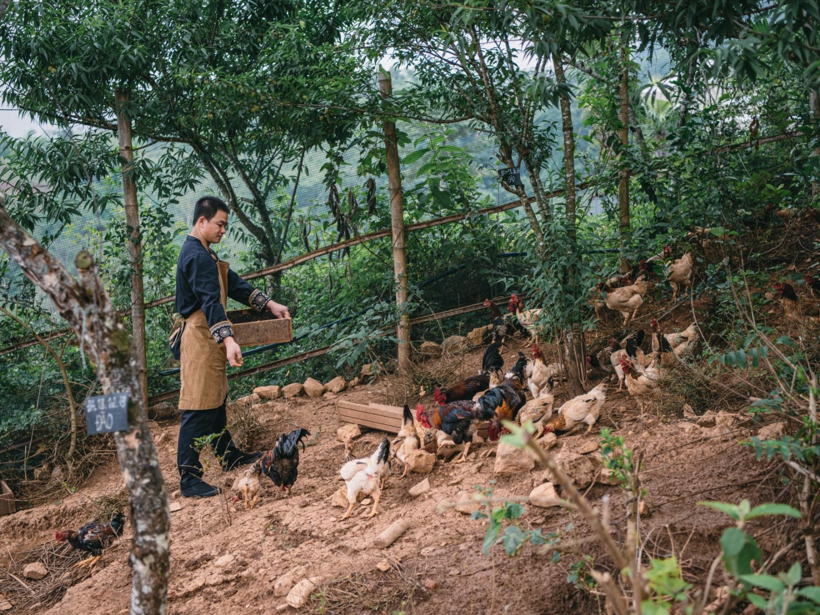 Avana Retreat And Sustainable Travel