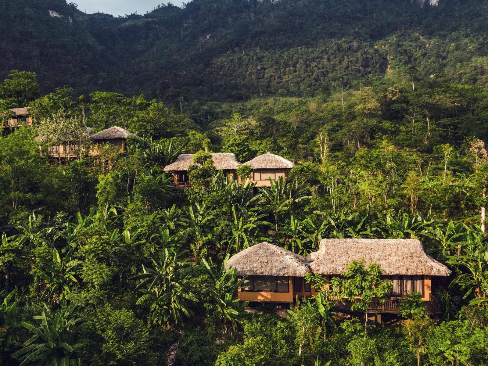 Avana Retreat - Asia's Leading Retreat 2021