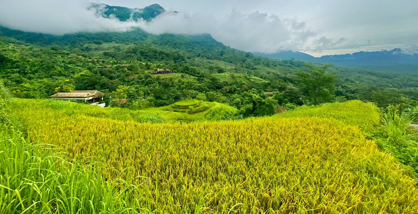 Ưu đãi độc quyền - Dành riêng “Mùa Vàng” Tháng 9
