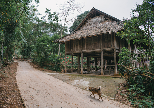Local Village Walk