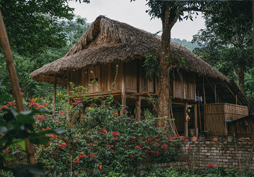 Local Village Walk