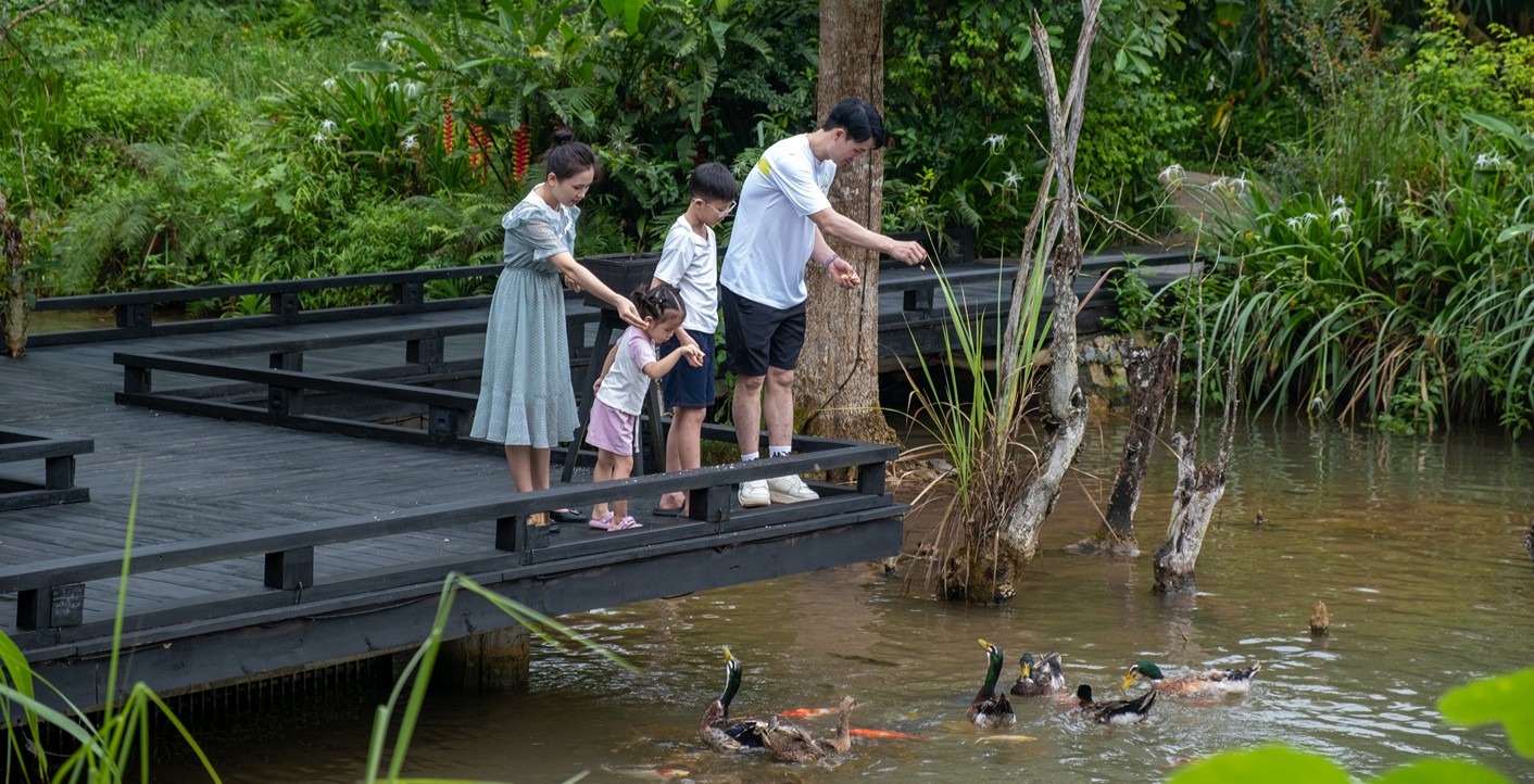 A Summer To Remember 25% OFF - Ưu đãi kỳ nghỉ gia đình